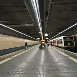 T8 LED Tube, 8ft, FA8 Base, Frosted, Bypass, Type B, 40W, Double Ended, 5000 Lumens -Sunco Lamp Store 8 Foot LED Bulb 40W 5000lm 4000K Super Bright T8 LED Tube Light FA8 Single Pin LED Light Frosted Cover 8 Foot LED Bulbs to Replace Fluorescent Light Bulbs Pack of 25