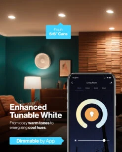 BR30 LED Smart Bulb, WiFi, 650 Lumens -Sunco Lamp Store Block4 BR30SmartLEDBulb