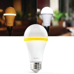 A19 LED Bulb, Night Light, 800 Lumens